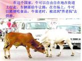 人教版七下地理  7.3印度 课件