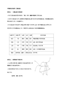 中国的经济发展（交通运输）复习案（无答案）-甘肃省景泰县第四中学八年级地理复习学案