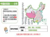 初中地理 湘教课标版 八年级上册《中国的民族》课件