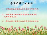 初中地理 湘教课标版 八年级上册 中国的土地资源 课件