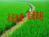 初中地理 湘教课标版 八年级上册 农业《懂农业》课件