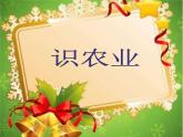 初中地理 湘教课标版 八年级上册 农业《识农业》课件