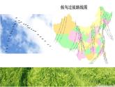 初中地理 湘教课标版 八年级上册 中国的气候 中国的气温 课件