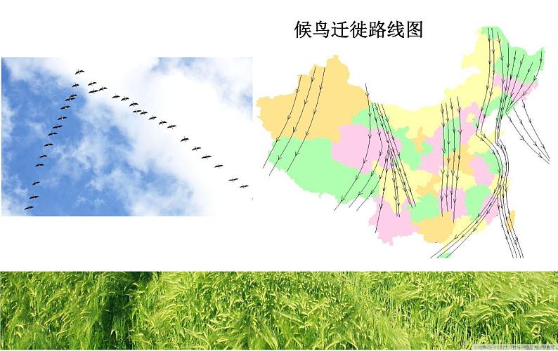 初中地理 湘教课标版 八年级上册 中国的气候 中国的气温 课件第2页