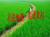 初中地理 湘教课标版 八年级上册 农业《知农业》课件