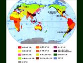 初中地理 湘教课标版 七年级上册 世界主要气候类型 世界气候类型热带四种气候类型 课件