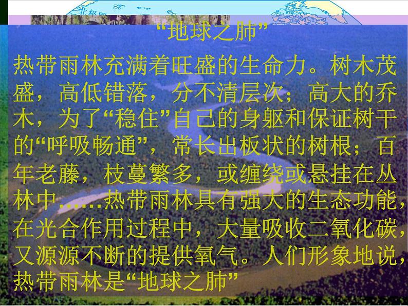 初中地理 湘教课标版 七年级上册 世界主要气候类型 世界气候类型热带四种气候类型 课件06