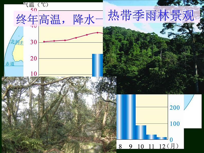 初中地理 湘教课标版 七年级上册 世界主要气候类型 世界气候类型热带四种气候类型 课件08