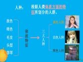 初中地理 湘教课标版 七年级上册 世界的人种 课件
