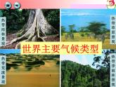 初中地理 湘教课标版 七年级上册 世界主要气候类型 课件