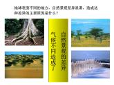 初中地理 湘教课标版 七年级上册 世界主要气候类型    课件