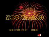 初中地理 湘教课标版 七年级上册 世界的人种 课件