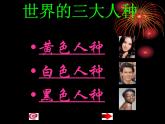 初中地理 湘教课标版 七年级上册 世界的人种 课件