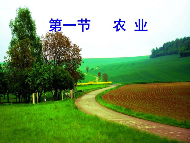 初中地理 粤人课标版 八年级上册 农业 课件02