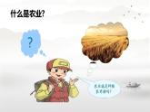 初中地理 湘教课标版 八年级上册 农业 课件