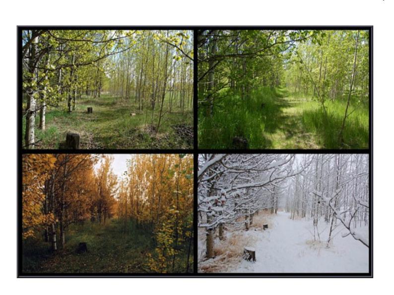 初中地理 鲁教课标版 六年级上册 地球的运动 地球的公转 课件第2页