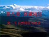 人教版八下地理 9.1自然特征与农业 课件