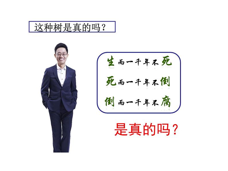 人教版八下地理 8.2干旱的宝地 塔里木盆地 课件第2页