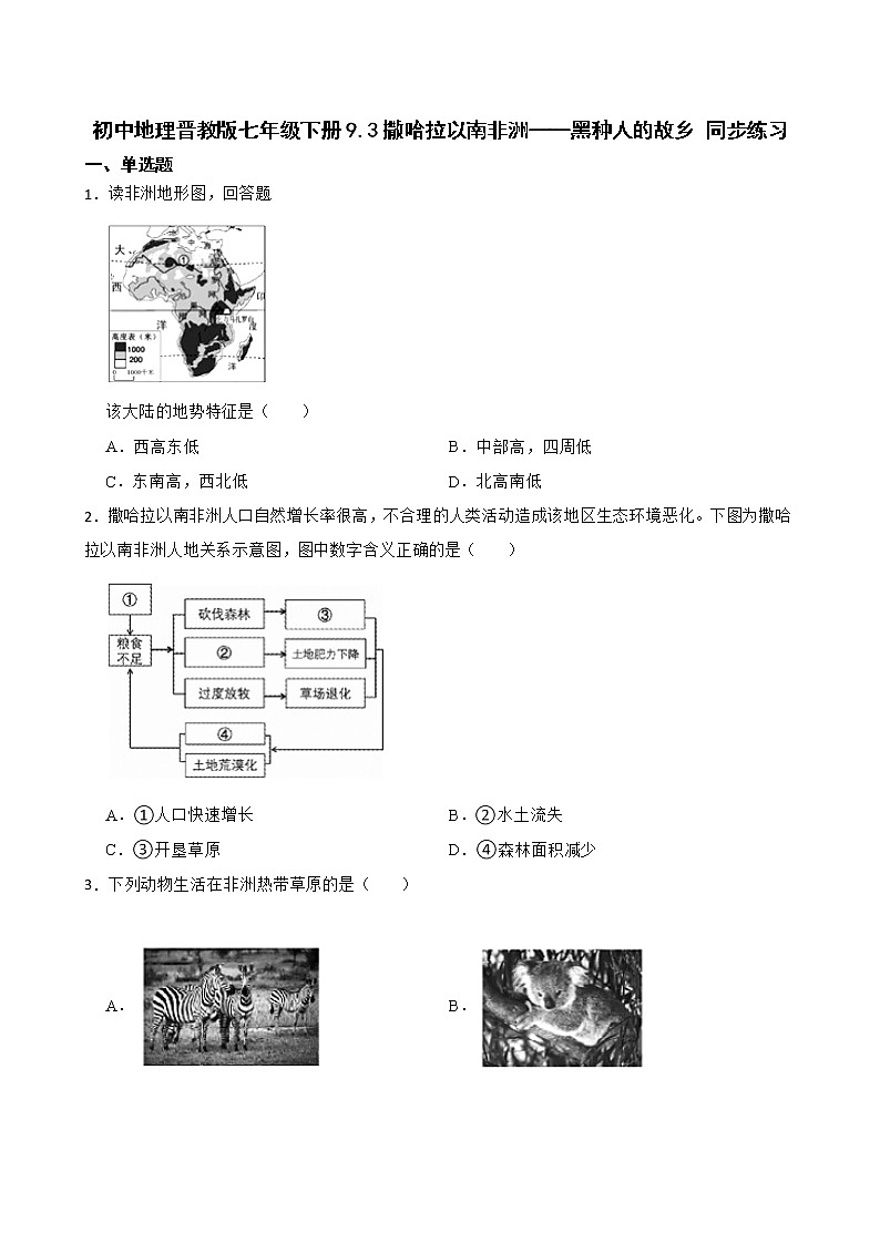 初中地理晋教版七年级下册9.3撒哈拉以南非洲——黑种人的故乡 同步练习01