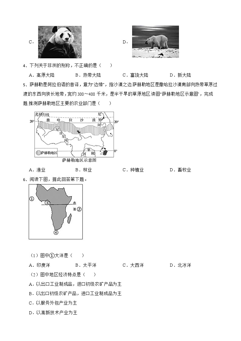 初中地理晋教版七年级下册9.3撒哈拉以南非洲——黑种人的故乡 同步练习02