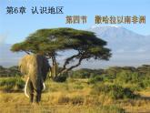 中图版八年级下册地理 6.4撒哈拉以南非洲 课件