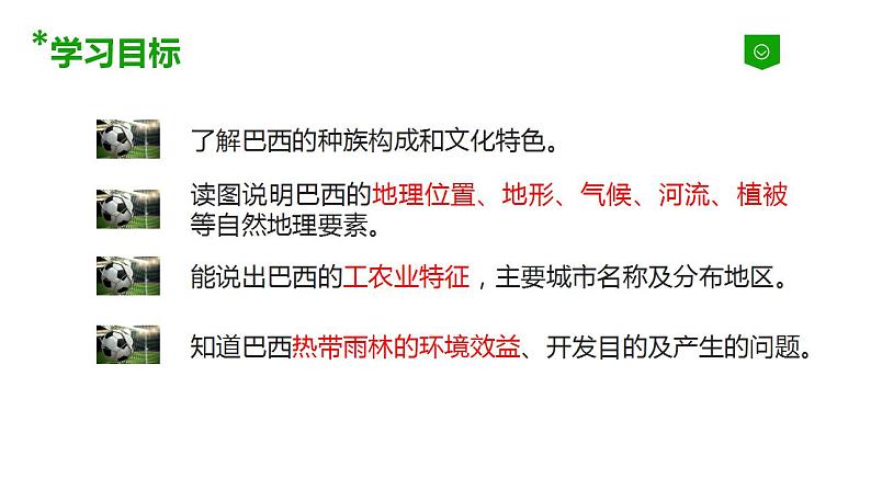 粤人版七年级地理下册9.3巴西课件PPT第5页