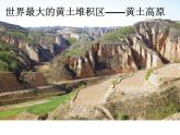 人教版八年级下册地理课件 6.3世界最大的黄土堆积区 黄土高原