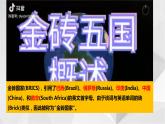8.3俄罗斯 第二课时 课件  2021-2022学年七年级地理下册（湘教版）