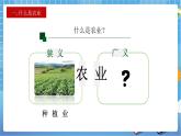 人教版八上4.2 农业（第一课时）课件+教案+同步练习