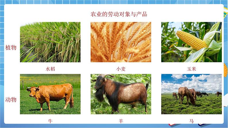 人教版八上4.2 农业（第一课时）课件+教案+同步练习08