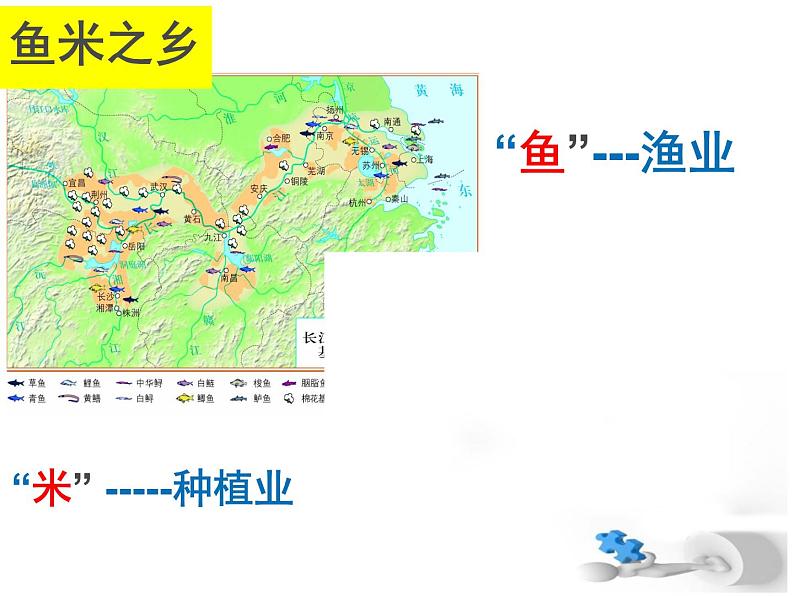 商务星球版八下地理 7.2长江中下游平原 课件第8页