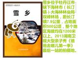 商务星球版八下地理 6.2东北三省 课件