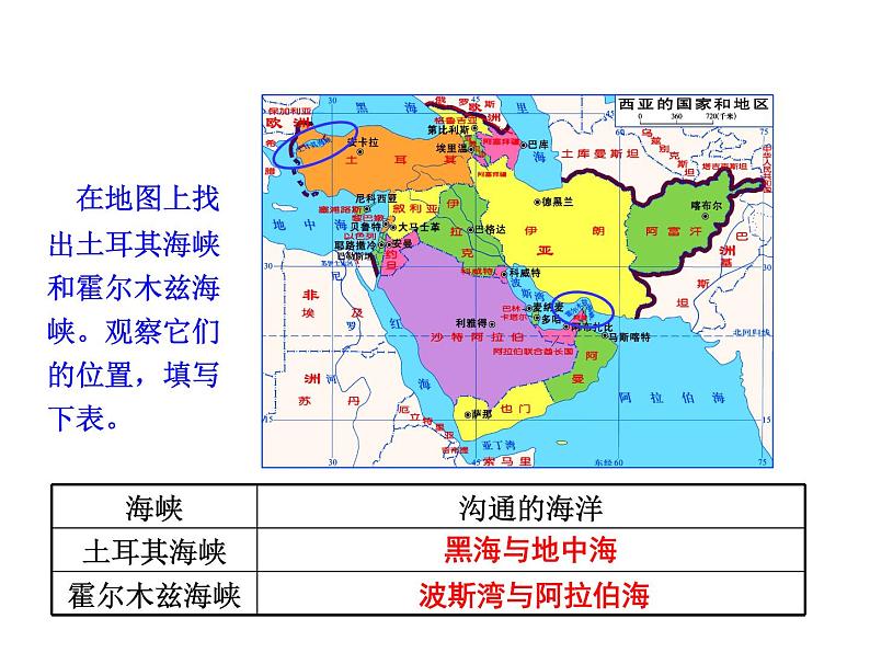 粤教版七年级下册地理 7.4西亚 课件第7页