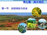 人教版八年级下册地理课件 9.1自然特征与农业