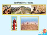 6.3《世界最大的黄土堆积区——黄土高原》（65张）-2021-2022学年人教版地理八年级下册课件