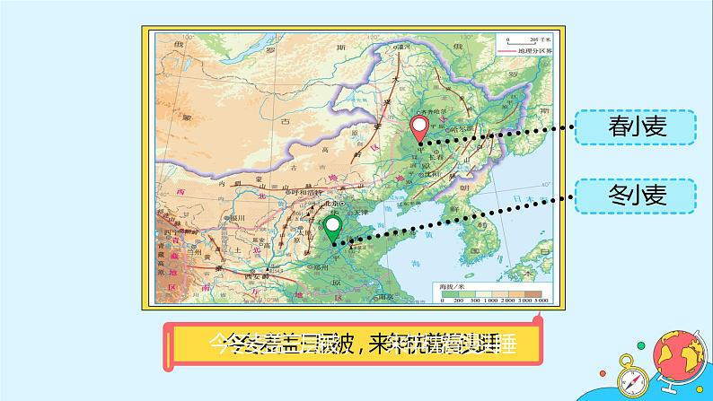 6.1《北方地区的自然特征与农业》（20张）-2021-2022学年人教版地理八年级下册课件第6页