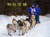 中图版八年级下册地理 6.5极地地区 课件