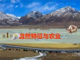 【精品课件】人教版地理八年级下册 9.1 青藏地区的自然特征与农业 课件1