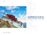 【精品课件】2022年地理八下人教版 9.1 自然特征与农业 课件