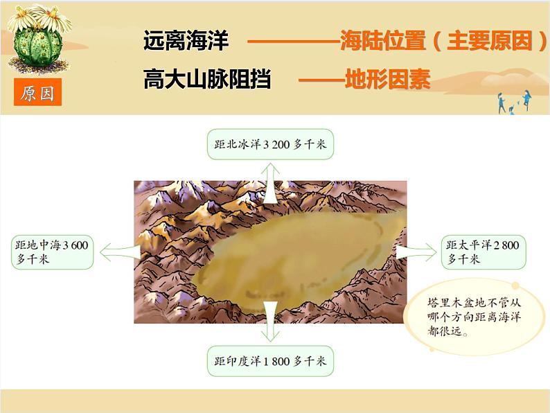 【精品课件】人教版地理八年级下册 8.2 干旱的宝地——塔里木盆地 课件1第5页