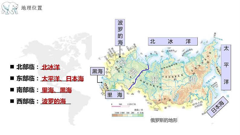 【精品课件】2022年地理七下人教版 7.4 俄罗斯 课件第8页