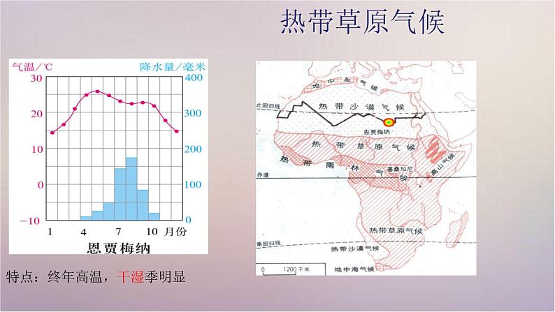 【精品课件】2022年春人教版地理七年级下册 8.3撒哈拉以南非洲 课件1第7页