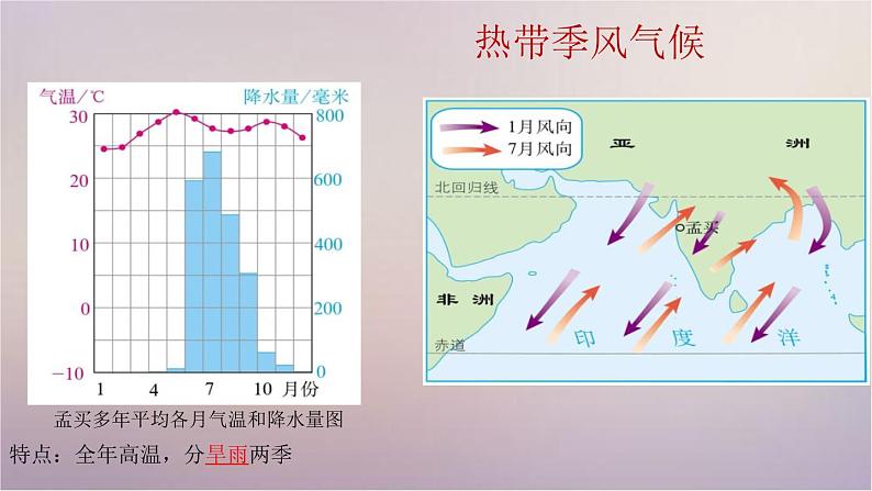 【精品课件】2022年春人教版地理七年级下册 8.3撒哈拉以南非洲 课件1第8页