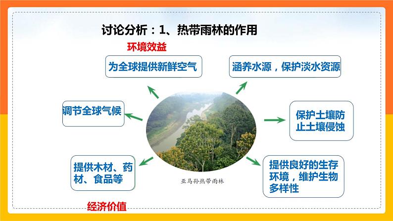 【精选备课】2021-2022学年七下人教版地理 9.2巴西 第2课时 课件08