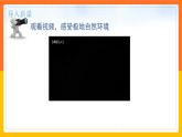 【精选备课】2021-2022学年七下人教版地理 10极地地区 课件