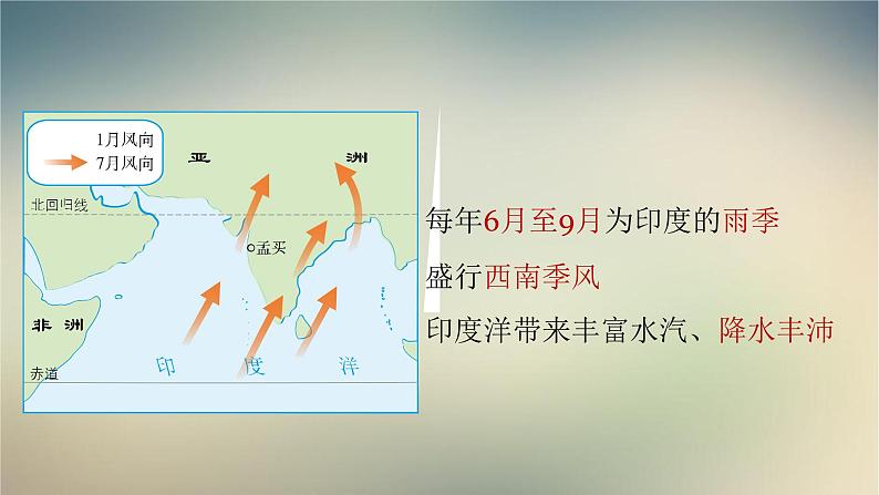 【精品课件】2022年春人教版地理七年级下册 7.3印度 课件208