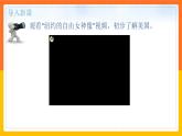 【精选备课】2021-2022学年七下人教版地理 9.1美国 第1课时 课件