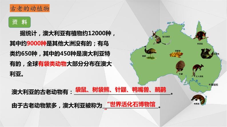 8.7 澳大利亚 第二课时 课件  2021-2022学年七年级地理下册（湘教版）05