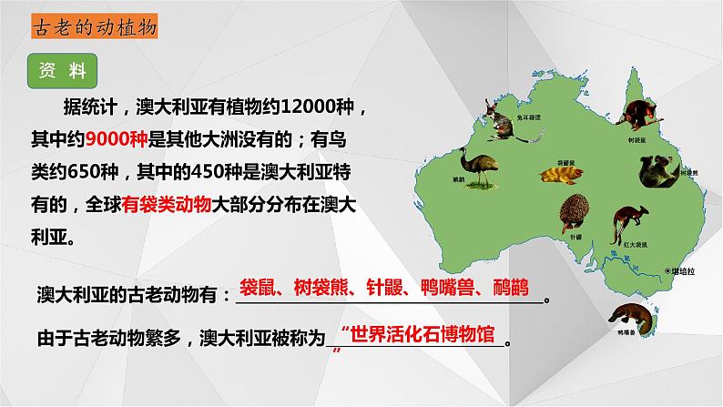 8.7 澳大利亚 第二课时 课件  2021-2022学年七年级地理下册（湘教版）第5页