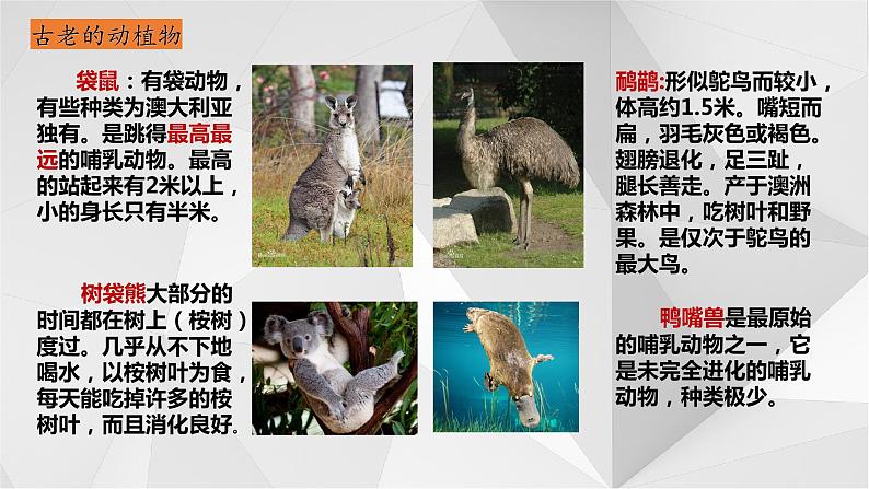 8.7 澳大利亚 第二课时 课件  2021-2022学年七年级地理下册（湘教版）第6页